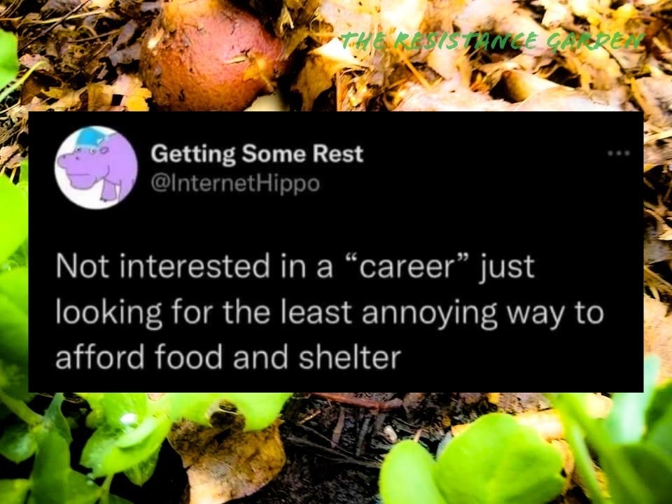 This meme is a humorous take on the idea that some people's jobs or careers are not as exciting or fulfilling as they would like. The text "Not interested in a 'career' just looking for the least annoying way to pay the bills" is a tongue-in-cheek expression of this sentiment. The image is likely a humorous or relatable image, but the text itself is the focus of the meme.